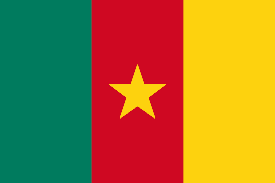 Cameroon flag